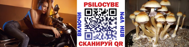 Галлюциногенные грибы мицелий  Ессентуки 