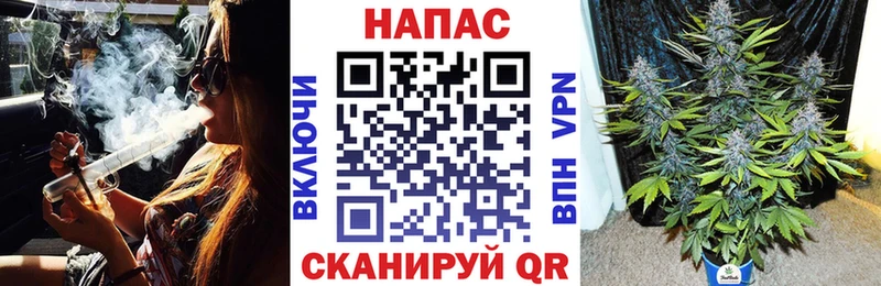 Бошки Шишки VHQ Ессентуки